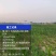 大田植保，果树清园，撒肥作业，