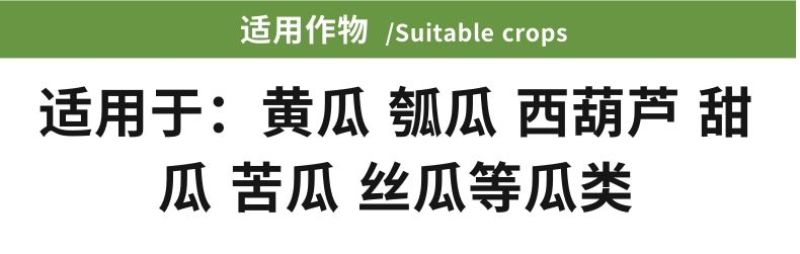 拉直拉长活力素黄瓜丝瓜西葫芦瓠子膨大增绿顺直长叶面肥