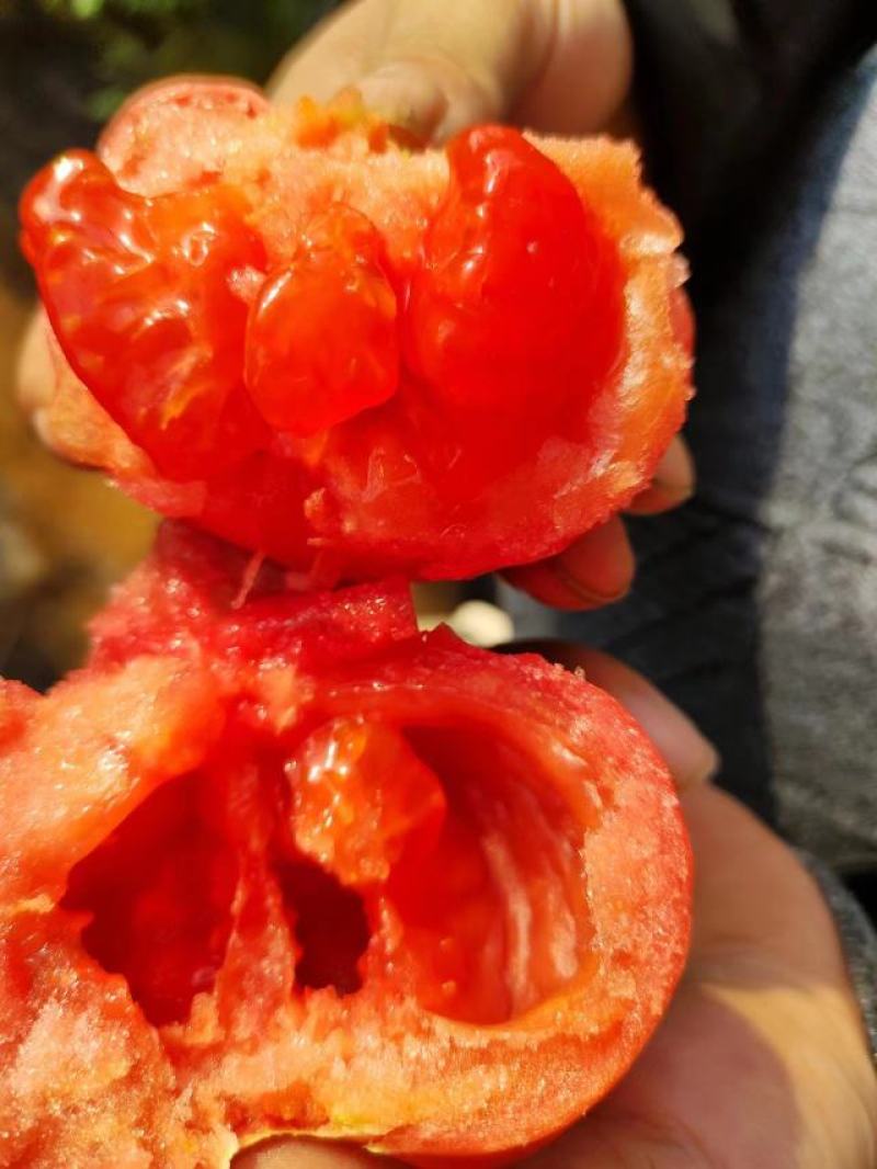 泾阳普罗旺斯水果西红柿