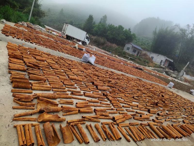 产地直销桂皮，烟桂全年供应