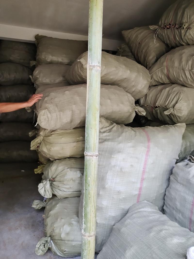 安徽金寨椴木赤灵芝，初级农副产品深山种植多糖三帖含量高