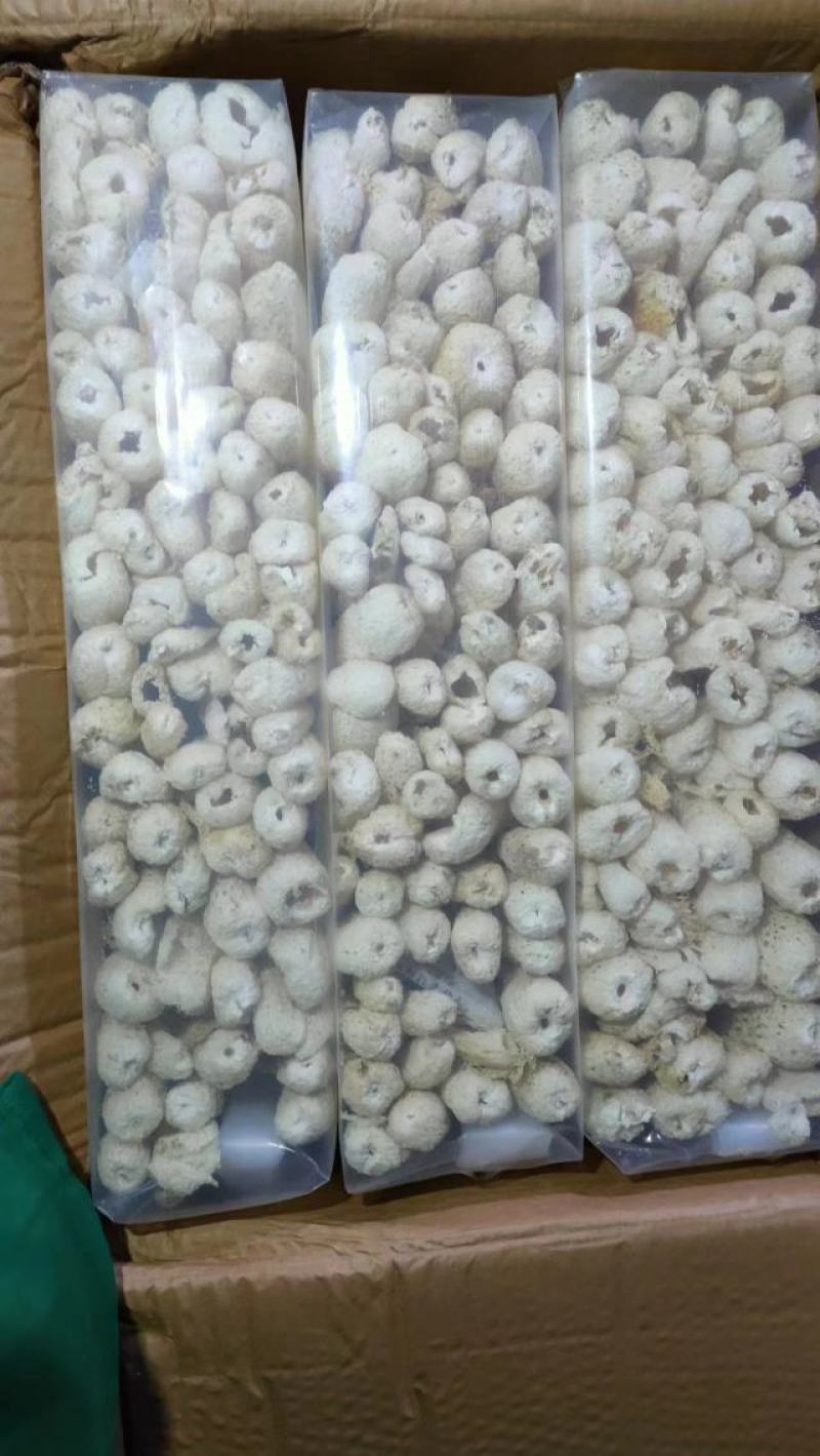 本色竹荪2023新货产地直销一手货源