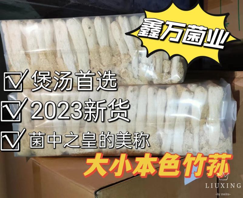 本色竹荪2023新货产地直销一手货源
