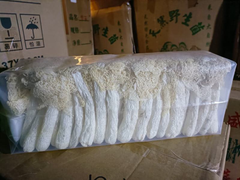 本色竹荪2023新货产地直销一手货源