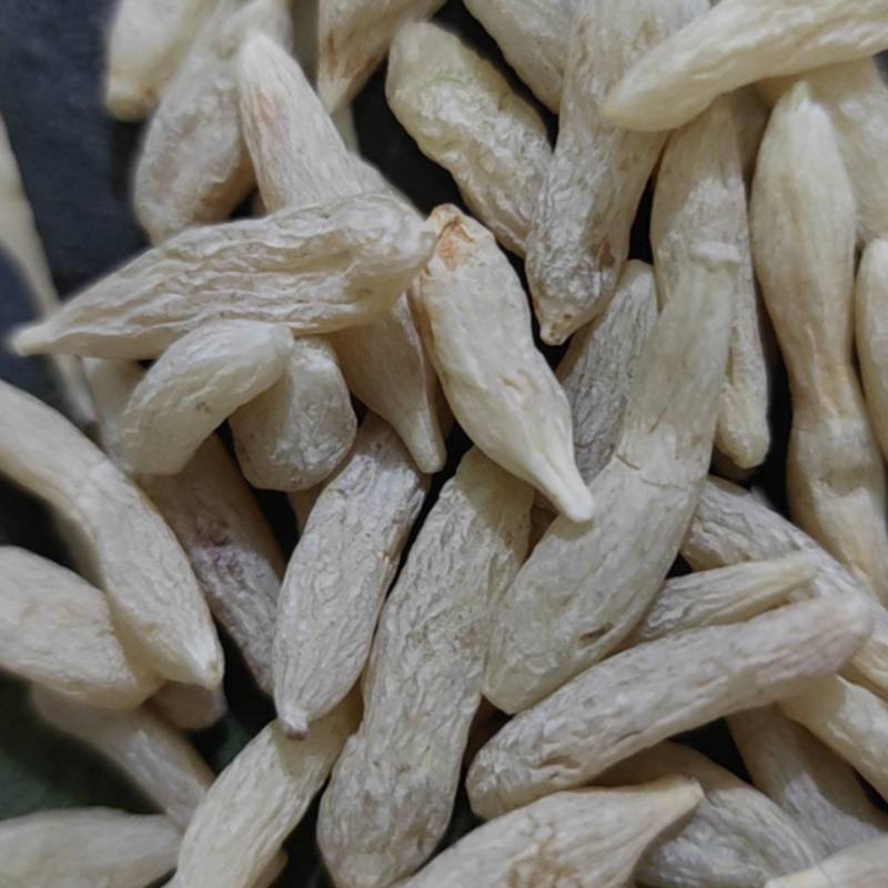 麦冬川麦冬道地中药批发零售各种规格欢迎选购