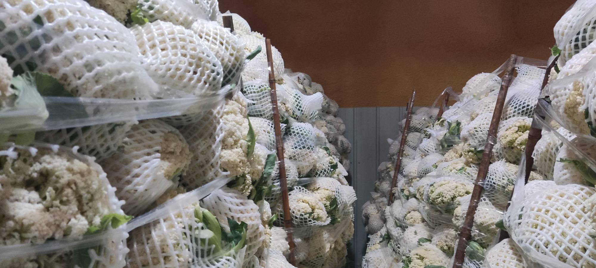 古菜花包装与市场展示