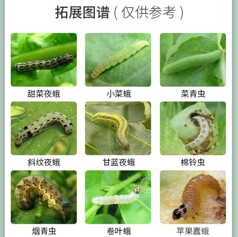 天津华宇都克11%甲维茚虫威菜青虫小菜蛾杀虫剂