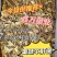 美味牛肝菌味道鲜美云南野生菌产地直销【不了解勿拍！】