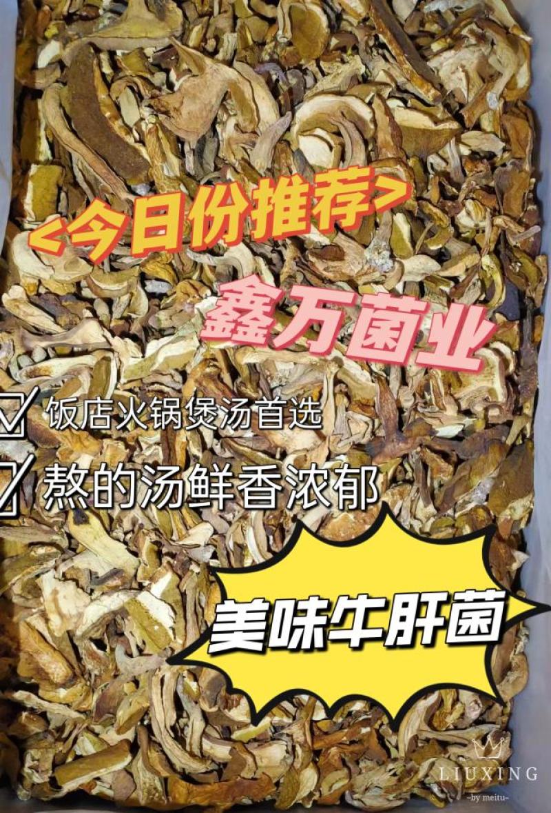 美味牛肝菌味道鲜美云南野生菌产地直销【不了解勿拍！】