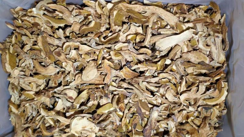 美味牛肝菌味道鲜美云南野生菌产地直销【不了解勿拍！】