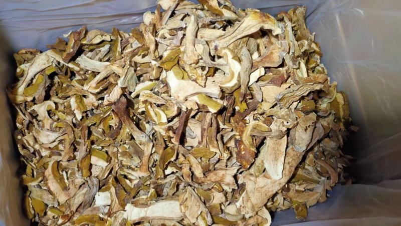 美味牛肝菌味道鲜美云南野生菌产地直销【不了解勿拍！】