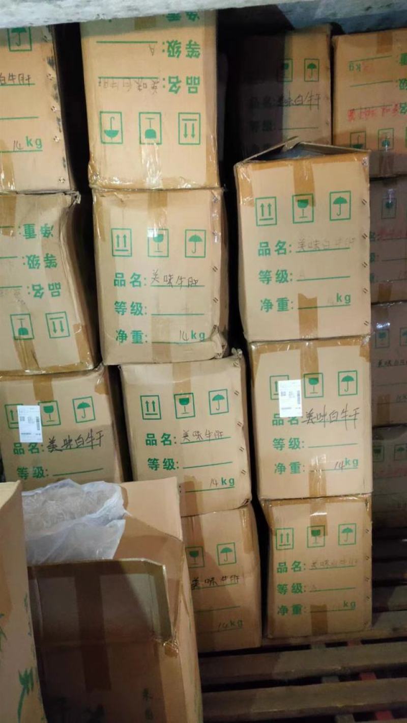 美味牛肝菌味道鲜美云南野生菌产地直销【不了解勿拍！】