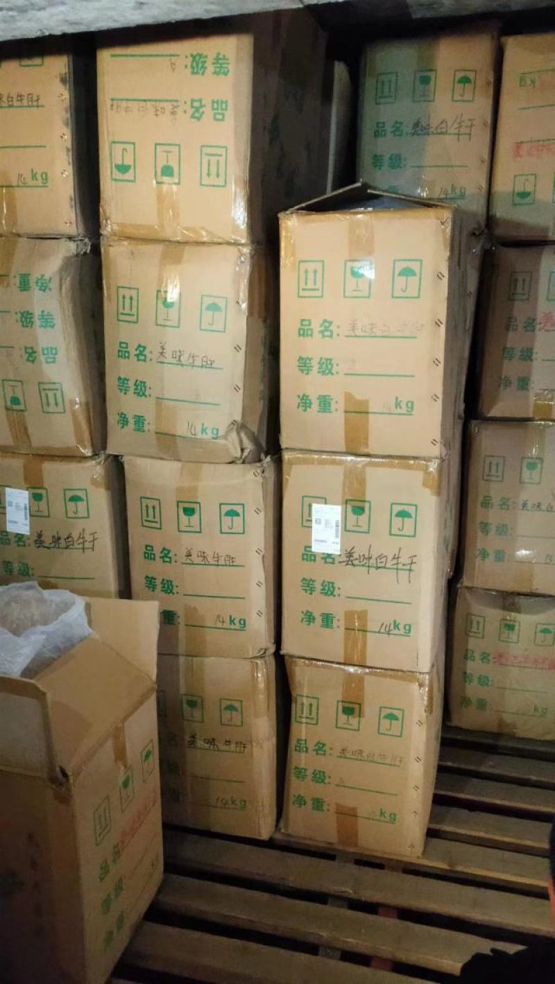 美味牛肝菌味道鲜美云南野生菌产地直销【不了解勿拍！】