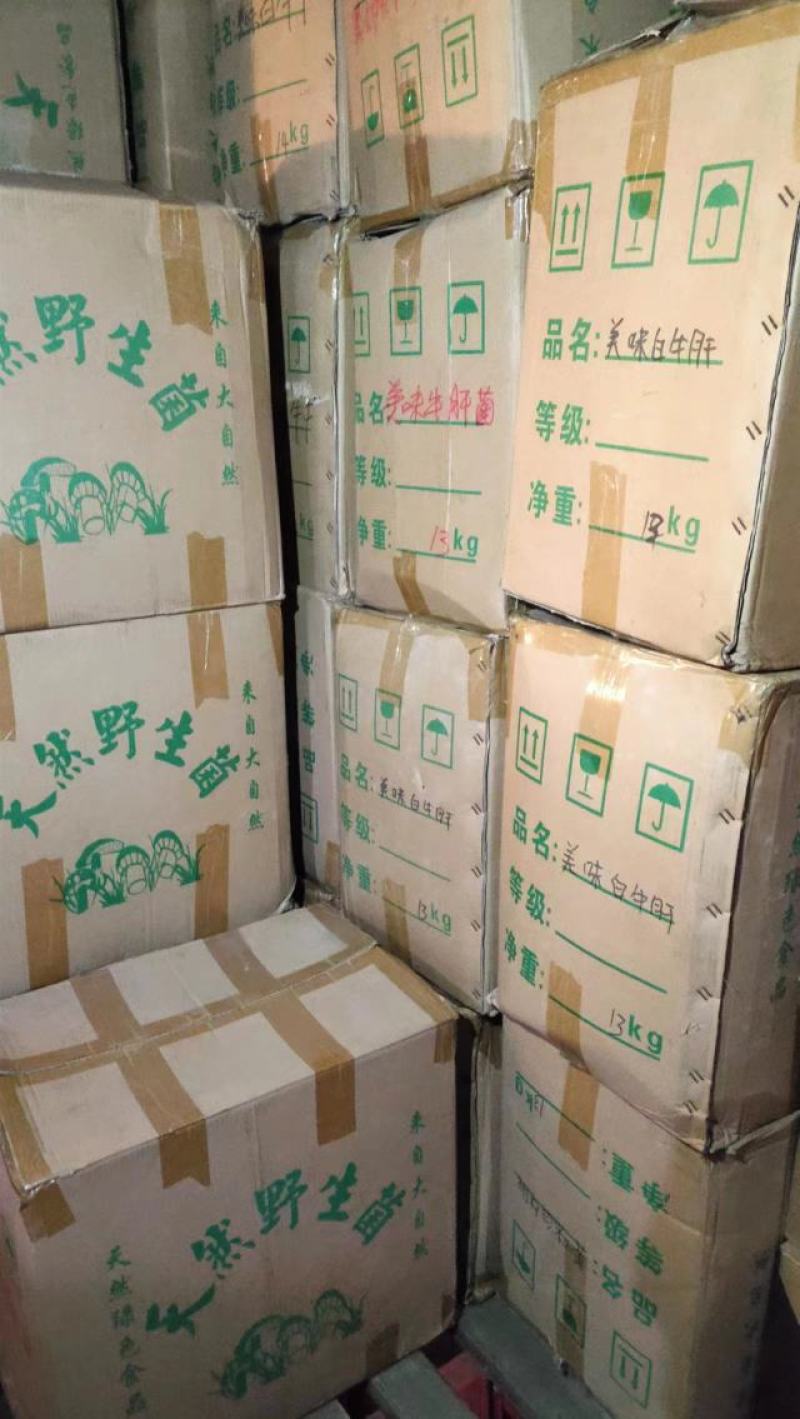 美味牛肝菌味道鲜美云南野生菌产地直销【不了解勿拍！】