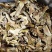 美味牛肝菌味道鲜美云南野生菌产地直销【不了解勿拍！】