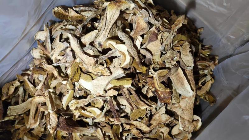 美味牛肝菌味道鲜美云南野生菌产地直销【不了解勿拍！】
