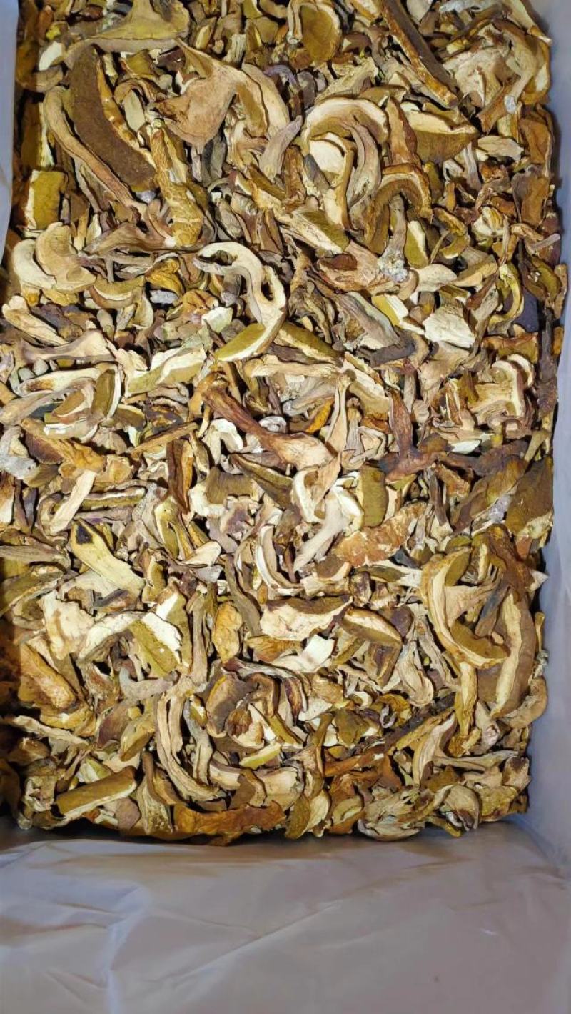 美味牛肝菌味道鲜美云南野生菌产地直销【不了解勿拍！】