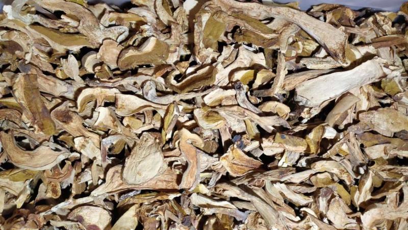 美味牛肝菌味道鲜美云南野生菌产地直销【不了解勿拍！】