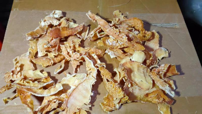 脱水笋尖口感脆嫩产地直销一手货源量大价优