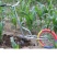 手推耘锄手推式除草神器多功能手推开沟机农用耘地机耕地除草