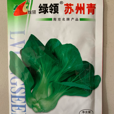 绿领苏州青墨绿色耐寒质嫩商品性好