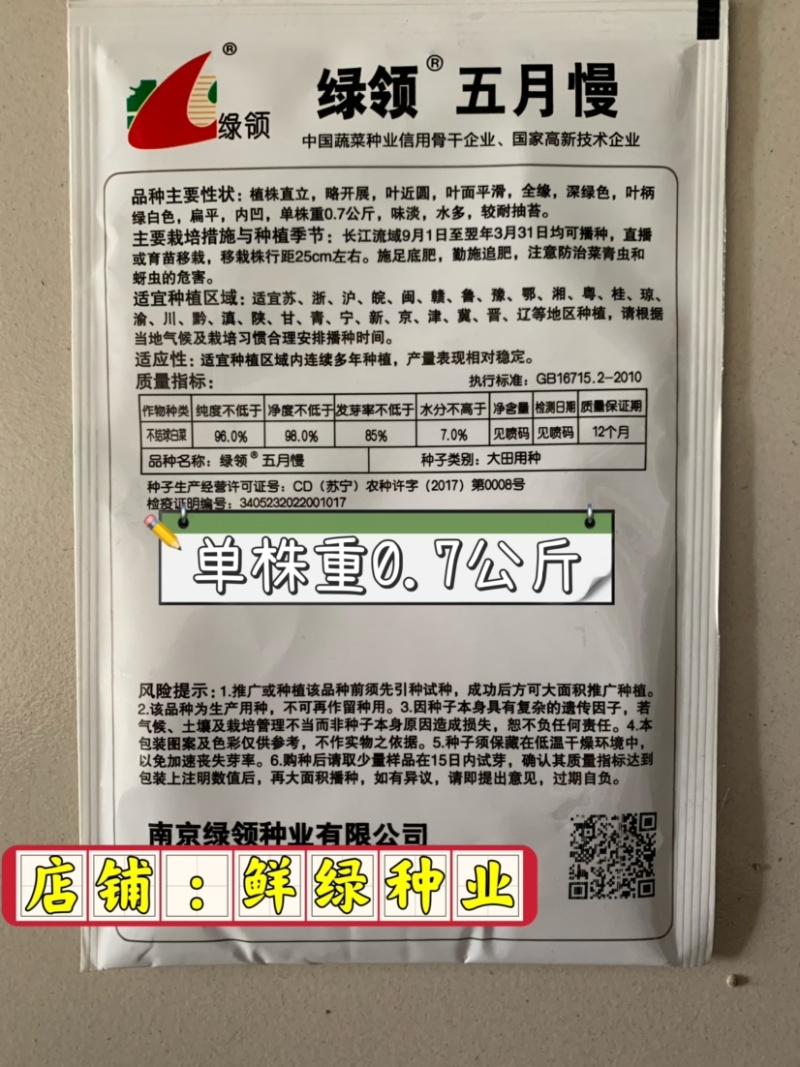 绿领五月慢单株重0.7公斤味淡水多耐抽苔
