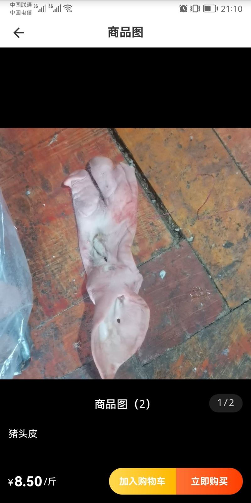 带耳猪头皮