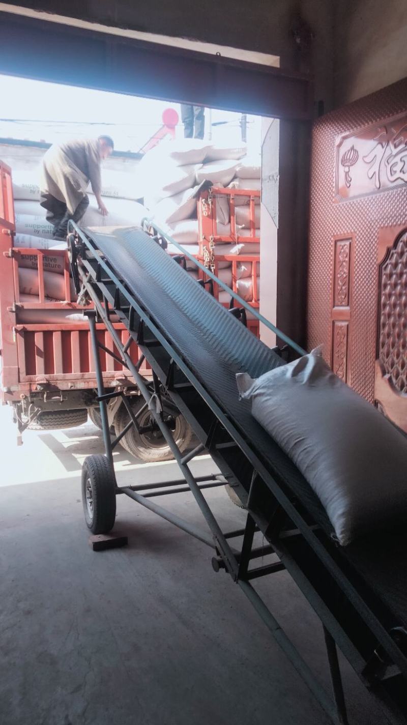 莫桑芝麻，一手货源，河北厂家直销颗粒饱满过筛无杂质