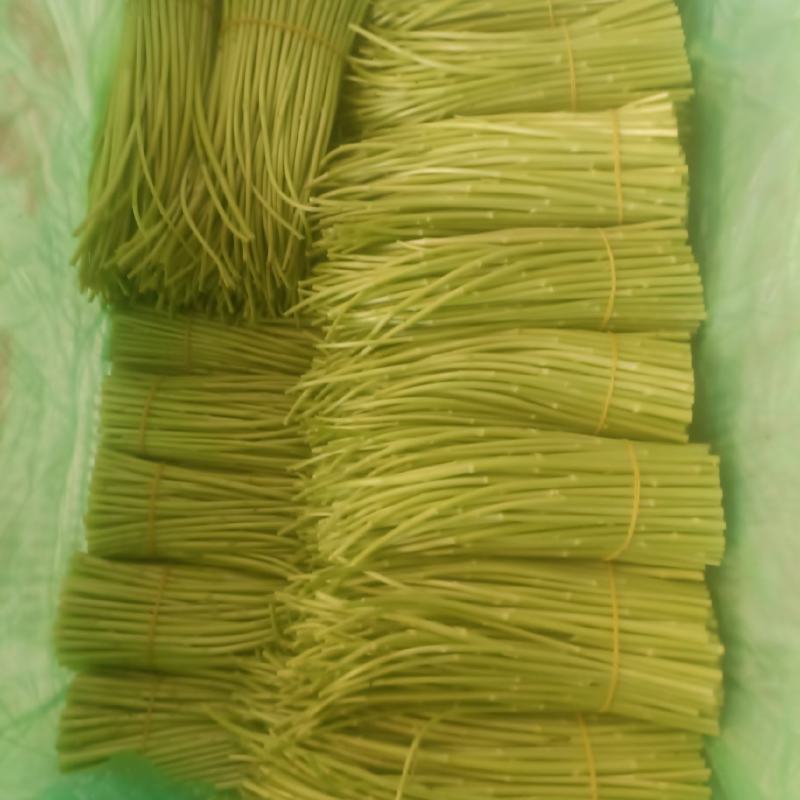 精品芦蒿产地直销
