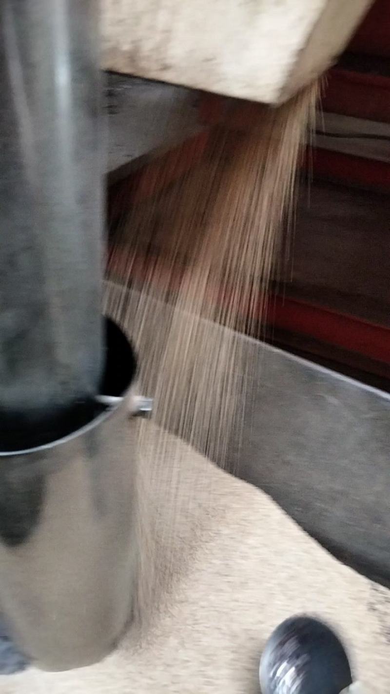莫桑白，做油做酱都可以，性价比高，值得推荐，厂家直销