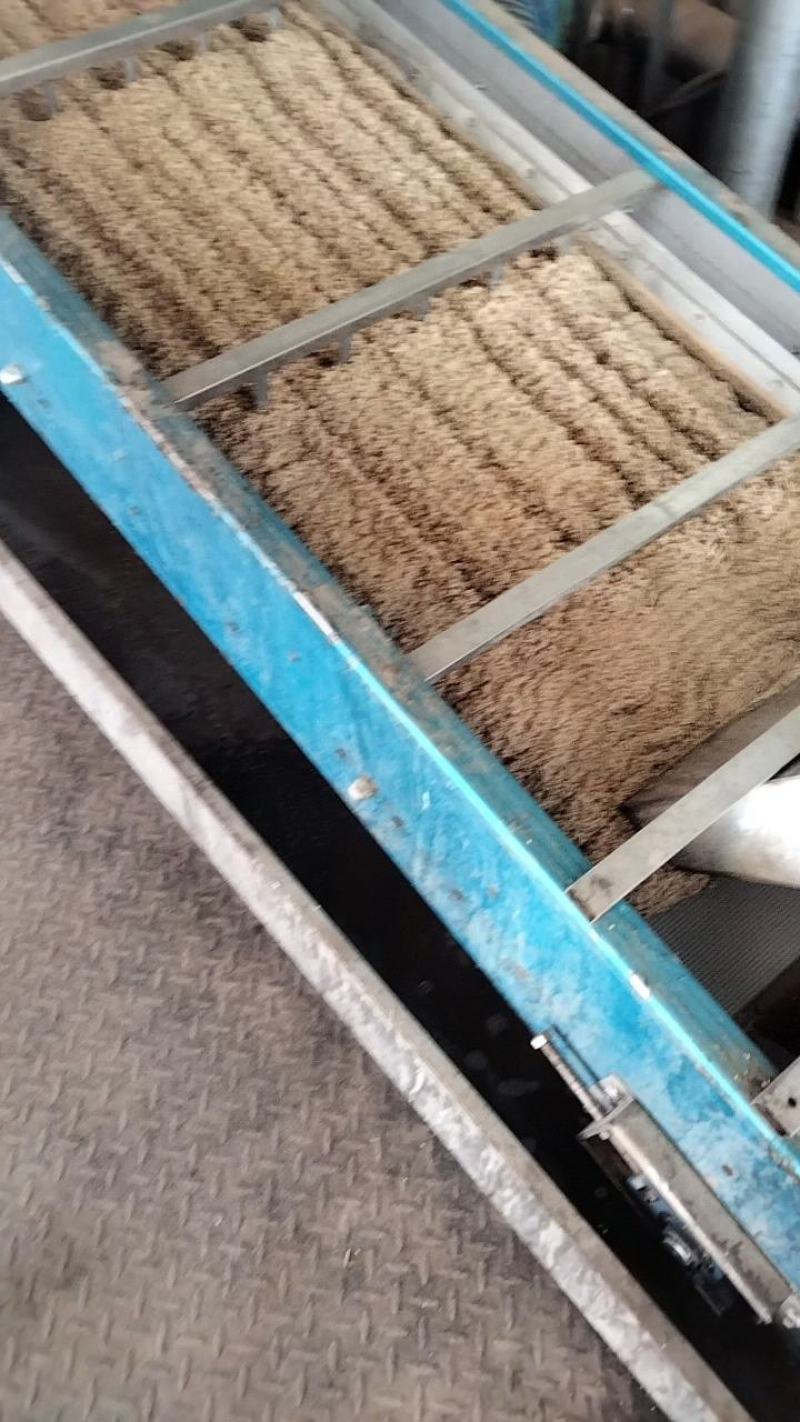 莫桑白，做油做酱都可以，性价比高，值得推荐，厂家直销