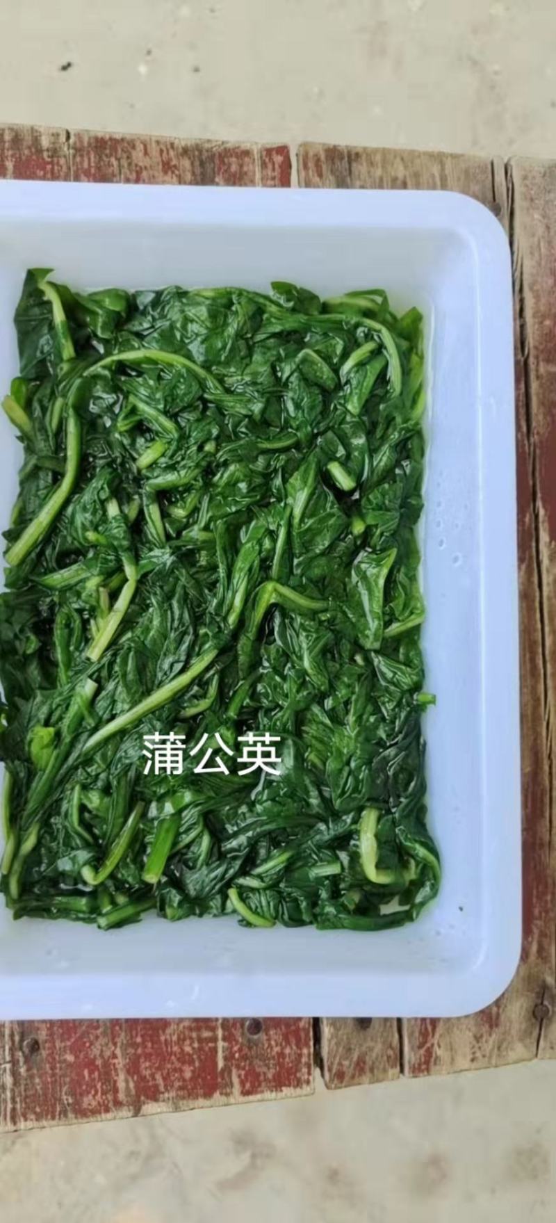 黄花苗，又叫蒲公英，纯野生，手工摘洗，一袋够一份菜