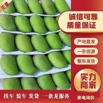 云南精品台农芒果，产地直采直销，货源稳定供应