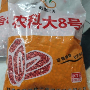 农科大8号玉米种子，5斤装，红轴高产