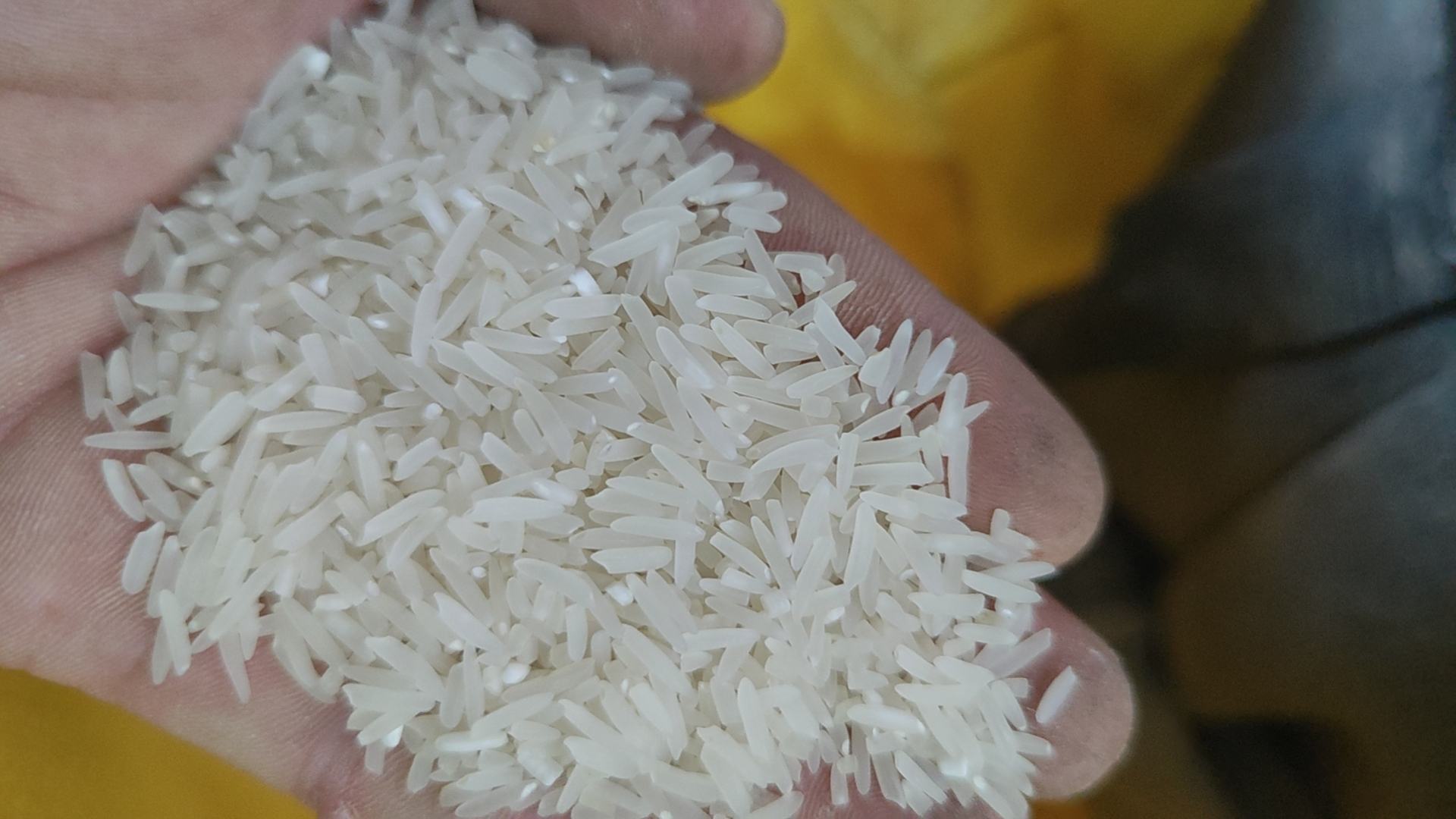 展示鱼腥草根与猪肉、大米等食材搭配的健康食谱示意图 鱼腥草根与其他食材搭配示意图