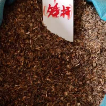 百日草种子现货供应，成活率高，价格优惠，欢迎采购