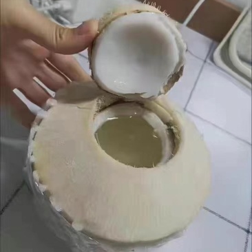 海南椰青，产地直销，清凉解暑，夏季孕妇补羊水必备佳品。