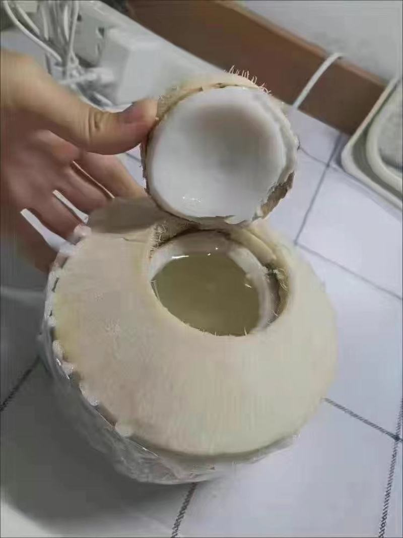海南椰青，产地直销，清凉解暑，夏季孕妇补羊水必备佳品。