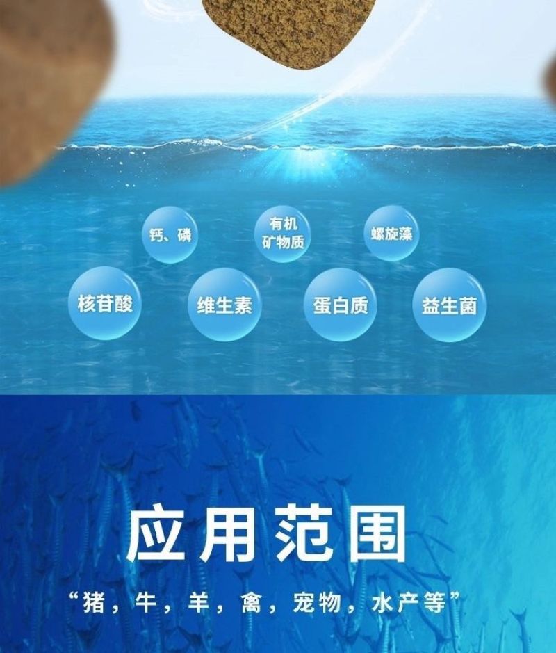 秘鲁进口鱼粉鱼粉批发高蛋白鸡鸭鹅养猪用鱼虾蟹水产养殖饲料