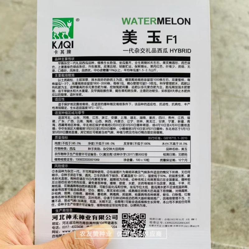 一代杂交礼品西瓜种子美玉早春红玉西瓜种子皮薄糖度高