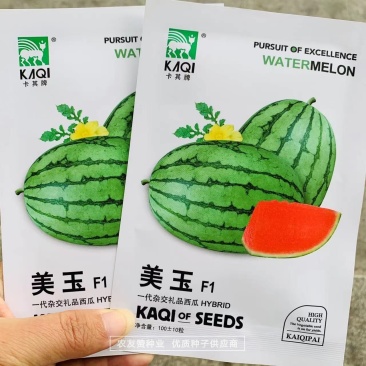 一代杂交礼品西瓜种子美玉早春红玉西瓜种子皮薄糖度高