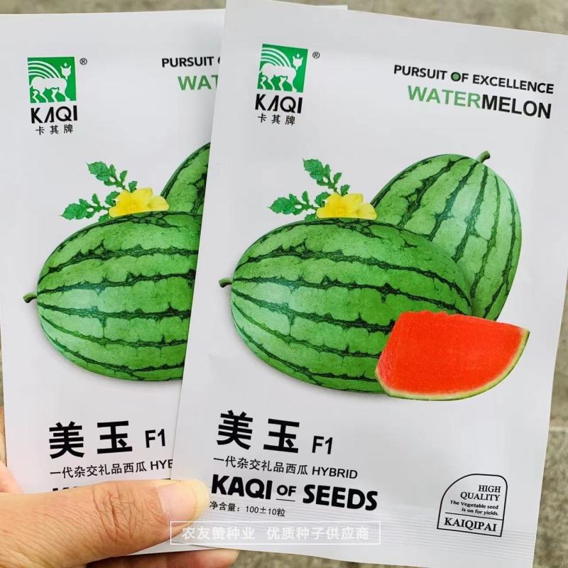 一代杂交礼品西瓜种子美玉早春红玉西瓜种子皮薄糖度高