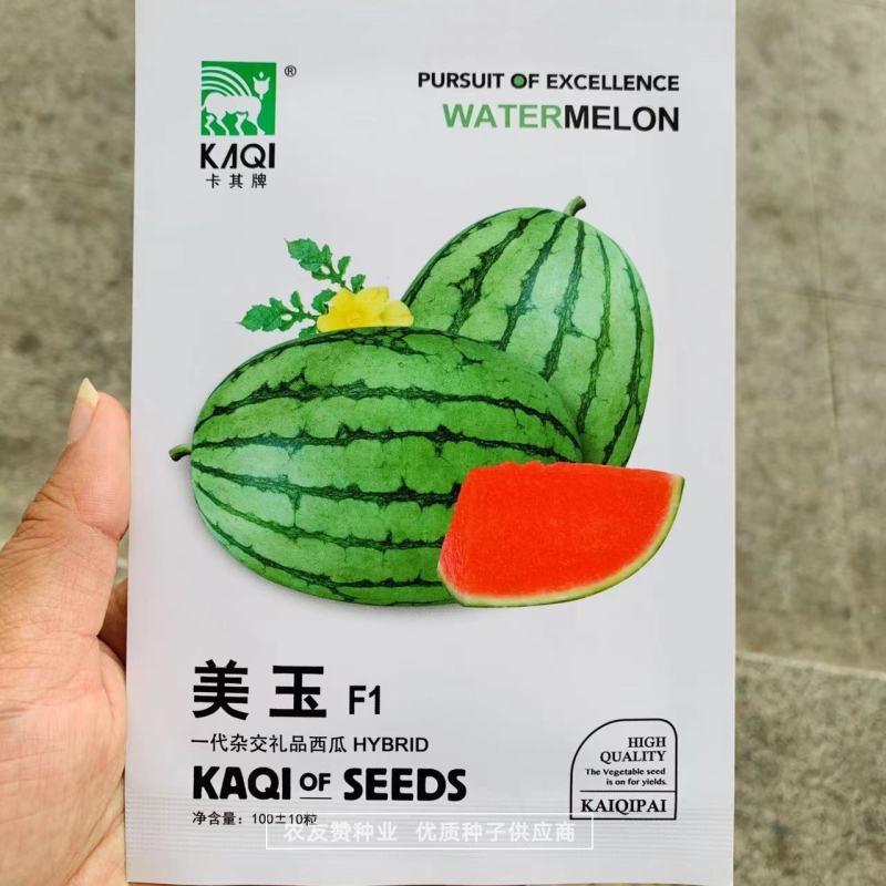 一代杂交礼品西瓜种子美玉早春红玉西瓜种子皮薄糖度高