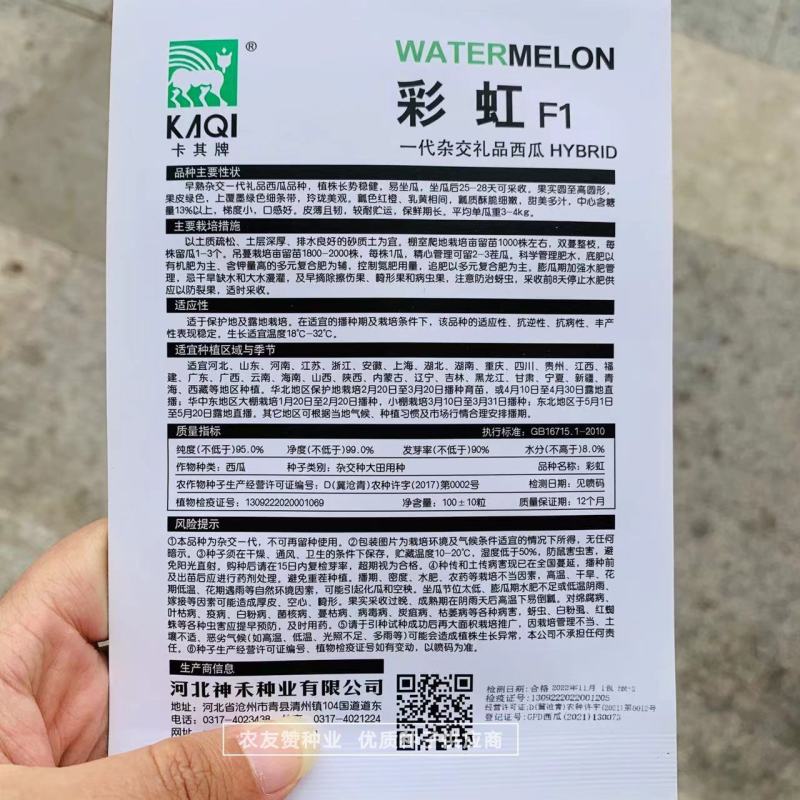 彩虹西瓜种子瓤色红橙乳黄相间早熟礼品西瓜种子含糖量高