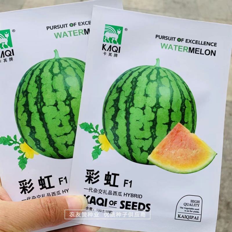 彩虹西瓜种子瓤色红橙乳黄相间早熟礼品西瓜种子含糖量高