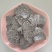 【牛商推荐】石家庄葵花饼厂家直发量大从优保质保量