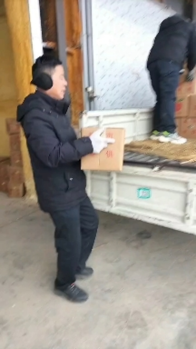 冰糖心红富士苹果，口感薄脆，甜，质量好，适合电商团购市场