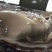 生蚝批发，有量的老板们速度下单，大量上货了