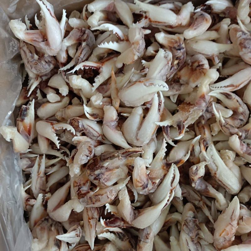 沙蟹蟹钳子，质量非常好，货源充足，可视频看货