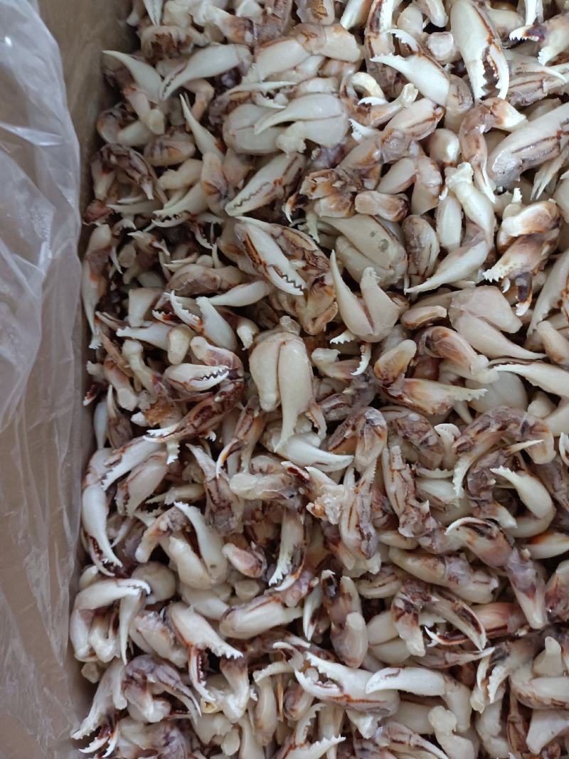 沙蟹蟹钳子，质量非常好，货源充足，可视频看货